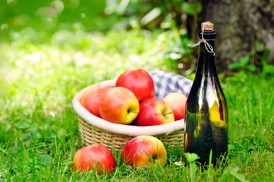 Herbst-Picknick