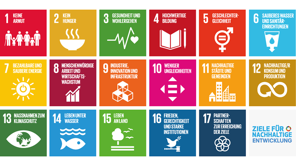 SDG17